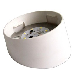 Светильник ДББ "Спецсвет" 03-007-401 (317) LED 7Вт 5000К IP20 настенный/без стекла/корпус наклонный