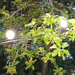 Гирлянда светодиодная Белт Лайт Holiday 10 ламп 7.7м бел. IP44 GAUSS HL062