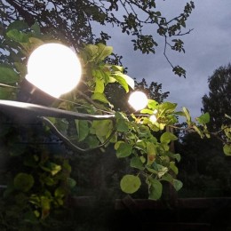 Гирлянда светодиодная Белт Лайт Holiday 10 ламп 7.7м бел. IP44 GAUSS HL062