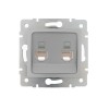 Розетка компьютерная + телефонная 2-м СП Karina RJ45 + RJ11 механизм матов. серебр. LEZARD 707-4388-