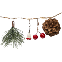 Гирлянда светодиодная "Шишки" 93 674 NGF-D024-01 2AA Navigator 93674