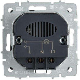 Выключатель карточный BRITE 30А ВС10-1-8-БрШ механизм шампань IEK BR-V11-0-10-K37