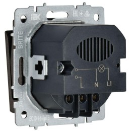Выключатель карточный BRITE 30А ВС10-1-8-БрТБ механизм бронза IEK BR-V11-0-10-K45