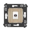 Розетка компьютерная 1-м СП Avanti "Ванильная дымка" RJ45 кат.5E без шторок механизм DKC 4405663