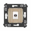 Розетка компьютерная 1-м СП Avanti "Ванильная дымка" RJ45 кат.6 без шторок механизм DKC 4405693