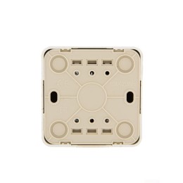 Выключатель 2-кл. 1п ОП Viola 10А IP20 с подсветкой беленый дуб LEZARD 751-5200-112