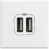 Разъем для зарядки 2хUSB Axolute бел. Leg BTC HD4285C2