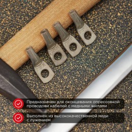 Наконечник ТМЛ 6кв.мм 6-6-4d4мм ГОСТ 7386-80 (уп.2шт) Rexant 07-5306-5