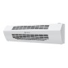 Завеса тепловая электрическая 3кВт RAH-HG0.6E3M ROYAL Clima НС-1447597