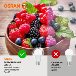 Лампа светодиодная LED Value LVCLA125 15SW/840 15Вт грушевидная матовая E27 230В 10х1 RU OSRAM 40580