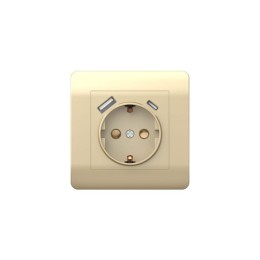 Розетка NEW3-E 16А с заземл. защ. шторки с 2-мя заряд. устройствами USB A+C 5В/2.1А шампань CHINT 43