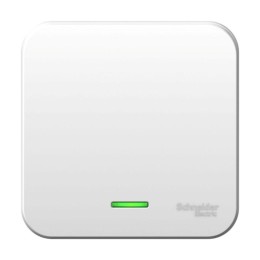 Выключатель 1-кл. ОП Blanca 10А IP20 (сх. 1) 250В с подсветкой с металлич. пластиной бел. SE BLNVA10