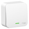 Выключатель 1-кл. ОП Blanca 10А IP20 (сх. 1) 250В с подсветкой с изолир. пластиной бел. SE BLNVA1011