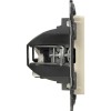 Розетка компьютерная 2-м Valena Life RJ45 кат.5E UTP с лицев. панелью механизм сл. кость Leg 753541