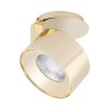 Arlight Модуль светодиодный PLURIO-LAMP-R77-9W Warm3000 (BRS, 36 deg, 2-2, 38V, 200mA) (Металл)