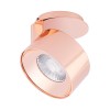Arlight Модуль светодиодный PLURIO-LAMP-R77-9W Day4000 (COP, 36 deg, 2-2, 38V, 200mA) (Металл)