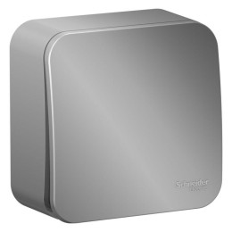 Выключатель 1-кл. ОП Blanca 10А IP20 (сх. 1) с самовозвратом с изолир. пластиной алюм. SE BLNCA10101