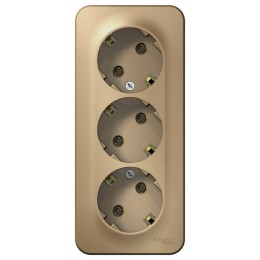 Розетка 3-м ОП Blanca 16А IP20 250В с заземл. без защ. шторок с изолир. пластиной титан SE BLNRA0103