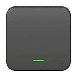 Выключатель 1-кл. ОП Blanca 10А IP20 (сх. 1) 250В с подсветкой с изолир. пластиной антрацит SE BLNVA
