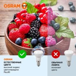 Лампа светодиодная LED Value LV R39 40 5SW/865 5Вт рефлектор матовая E14 230В 10х1 RU OSRAM 40580755