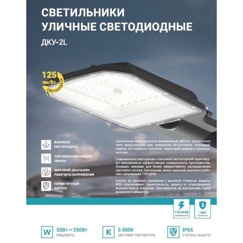 Светильник уличный линзованный светодиодный ДКУ-2L 120Вт 230В 5000К 15000лм 125лм/Вт 48-70мм IP65 NE