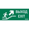 Знак "ВЫХОД / ЛЕСТНИЦА ВВЕРХ / ФИГУРА" для аварийно-эвакуационного светильника IP20 VARTON V5-EM01-6