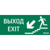 Знак "ВЫХОД / ЛЕСТНИЦА ВНИЗ / ФИГУРА" для аварийно-эвакуационного светильника IP20 VARTON V5-EM01-60