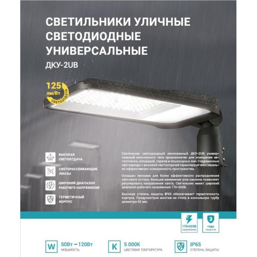 Светильник уличный линзованный светодиодный ДКУ-2UB 120Вт 230В 5000К 15000лм 125лм/Вт универсальный
