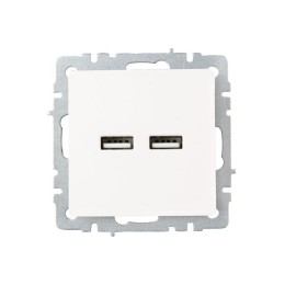 Розетка BRITE USB A+A 3.1А РЮ10-1-БрЖ механизм жемчуж. IEK BR-U21-D31-K36