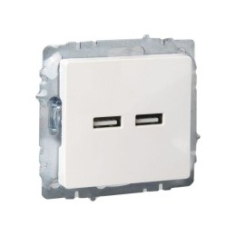 Розетка BRITE USB A+A 3.1А РЮ10-1-БрЖ механизм жемчуж. IEK BR-U21-D31-K36