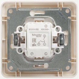 Выключатель 2-кл. СП W59 10А IP20 10AX в сборе сл. кость SE VS510-252-28