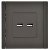 Розетка USB A+A 3.1А FORTE&PIANO FP349 сер. IEK FP-U21-D31-K03