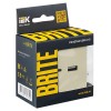 Розетка BRITE USB A+C 18Вт РЮ11-1-БрКр механизм беж. IEK BR-U22-018-K10