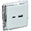 Розетка BRITE USB A+C 18Вт РЮ11-1-БрЖ механизм жемчуж. IEK BR-U22-018-K36