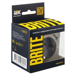 Розетка BRITE РЮш10-2-БрШ 16А с USB A+A 3.1А с заземл. защ. шторки механизм шампань IEK BR-R14-16-U2