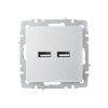 Розетка BRITE USB A+A 3.1А РЮ10-1-БрА механизм алюм. IEK BR-U21-D31-K47