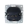 Розетка BRITE РЮш10-1-БрГ 16А с USB A+A 2.1А с заземл. защ. шторки механизм графит IEK BR-R14-16-U21