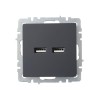 Розетка BRITE USB A+A 3.1А РЮ10-1-БрГ механизм графит IEK BR-U21-D31-K53