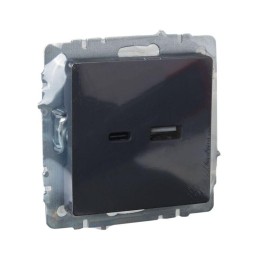 Розетка BRITE USB A+C 18Вт РЮ11-1-БрГ механизм графит IEK BR-U22-018-K53