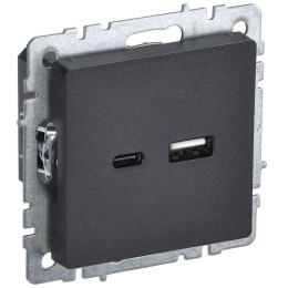 Розетка BRITE USB A+C 18Вт РЮ11-1-БрЧ механизм черн. IEK BR-U22-018-K02