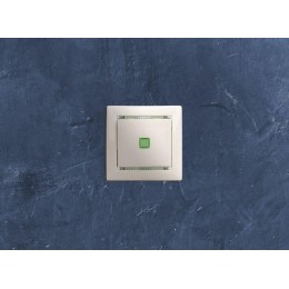 Выключатель 1-кл. СП Valena 10А IP31 250В с зел. индикацией механизм бел. Leg 774410