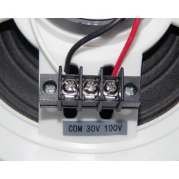 Оповещатель речевой потолочный "Глагол П-5" ГЛАГОЛ 00000003320