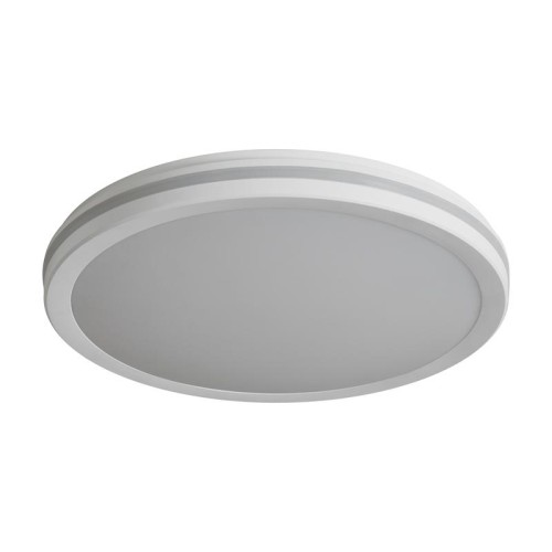 Светильник Rua 40Вт IP 65 потолочн. Freya FR6160CL-L40W