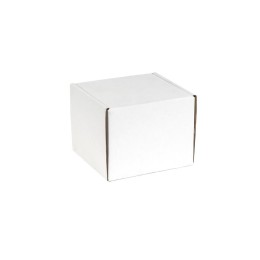 Источник вторичного электропитания резервир. ББП РАПАН - 80 исп. 26 Бастион 198