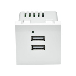 Розетка 2мод. USB A+A 4.2А РКЮ-23-40-П бел. PRIMER IEK PR-KK40D-RU-0-2-AA-K01