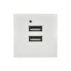 Розетка 2мод. USB A+A 4.2А РКЮ-23-40-П бел. PRIMER IEK PR-KK40D-RU-0-2-AA-K01