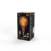 Лампа светодиодная филаментная Black Filament 8Вт A160 грушевидная золотая 2400К тепл. бел. E27 620л