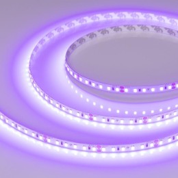 Лента светодиодная RT-A120-8mm 24В Violet 9.6Вт IP20 2835 (уп.5м) Arlight 043384