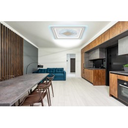 Люстра светодиодная CRYSTAL 3D 120Вт 470х470х40мм 40кв.м потолочная ДУ 3 режима диммир. бел. Ritter