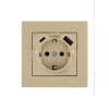 Розетка с заземл. TC+USB разъем VESNA зол. LEZARD 742-3688-181TC